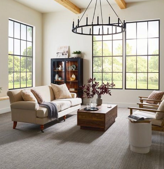 Living room Carpet |  Mid-Michigan Floor Coverings